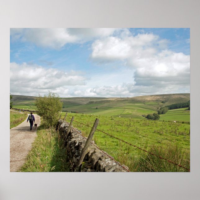 Shining Tor and Cats Tor Postcard Poster (Front)