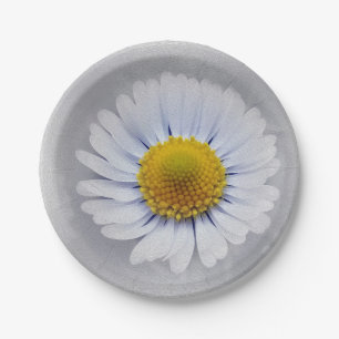 shining white daisy paper plate