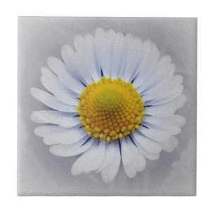 shining white daisy tile