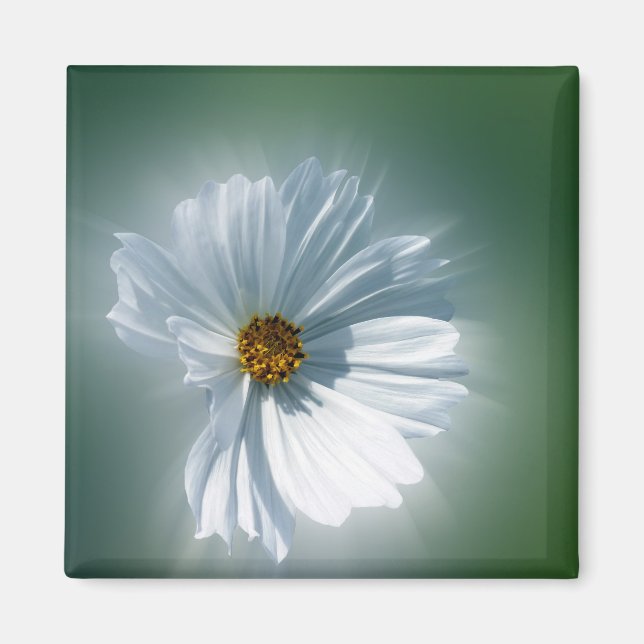 shining white magnet (Front)