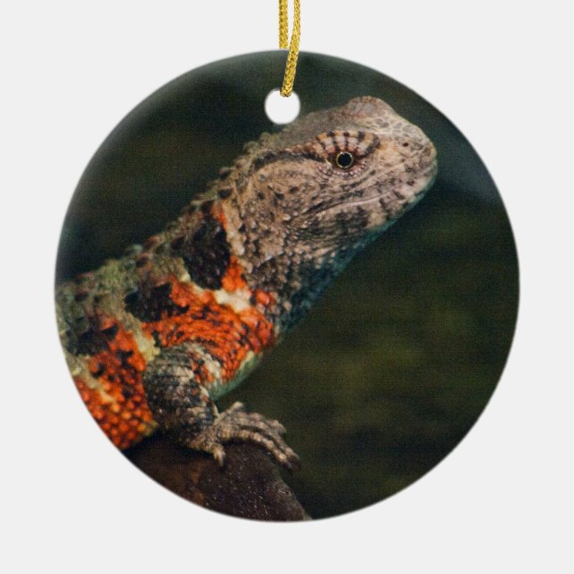 Shinisaurus crocodilurus ceramic ornament (Front)