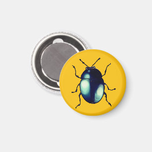 Shiny Blue Beetle Illustration Magnet