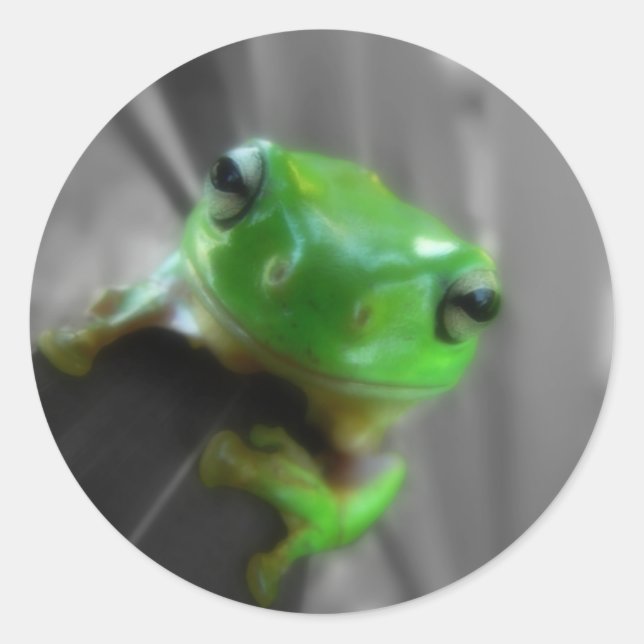 Shiny Green Frog Classic Round Sticker (Front)