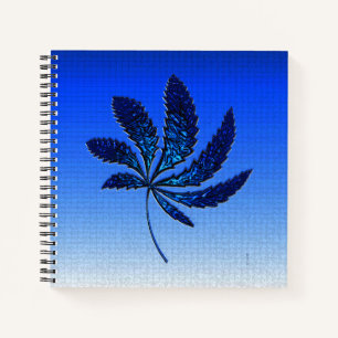 Shiny N Blue..... Notebook