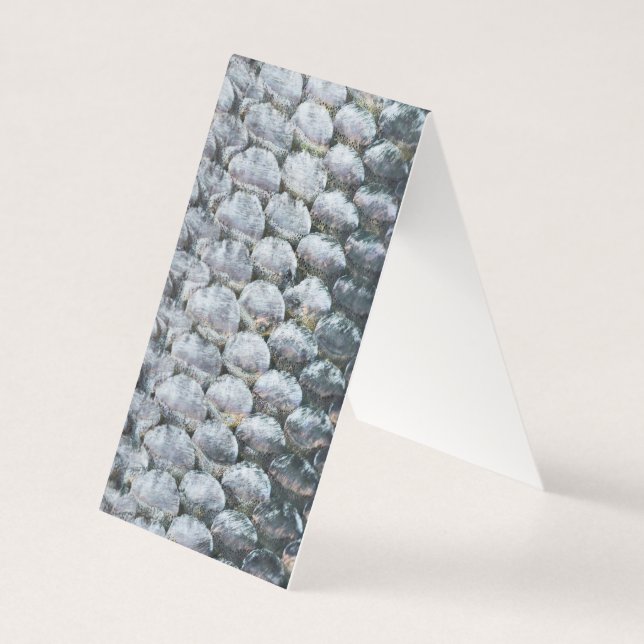 Shiny Salmon Scales (Front)
