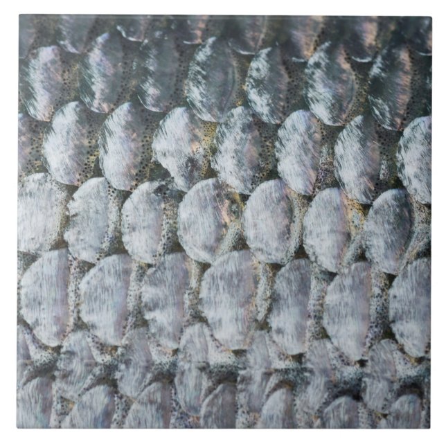 Shiny Salmon Scales Ceramic Tile (Front)