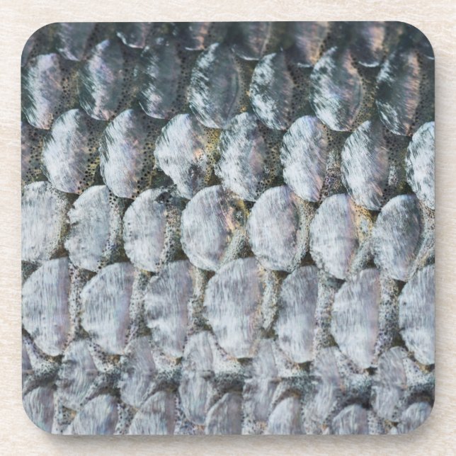 Shiny Salmon Scales Coaster (Front)