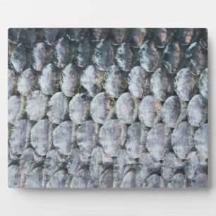 Shiny Salmon Scales Plaque