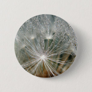 Shiny waterdrops on a white dandelion 6 cm round badge