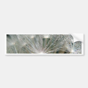Shiny waterdrops on a white dandelion bumper sticker