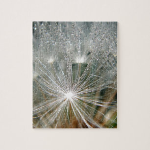 Shiny waterdrops on a white dandelion jigsaw puzzle