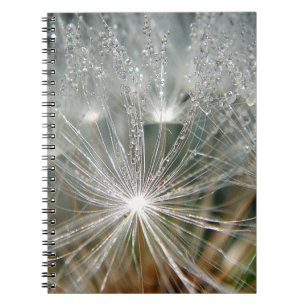 Shiny waterdrops on a white dandelion notebook
