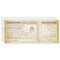 ship boarding pass wedding tickets-invites & rsvp