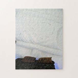 Ship Room at Hotel de Glace, Quebec, Canada Jigsaw Puzzle
