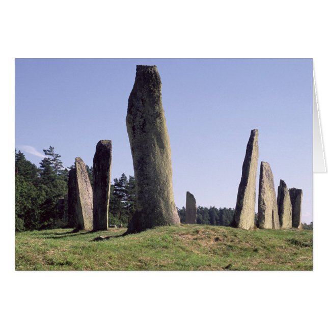 Ship setting (Front Horizontal)