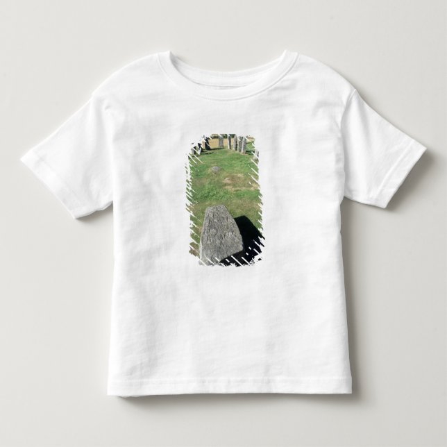 Ship setting toddler T-Shirt (Front)