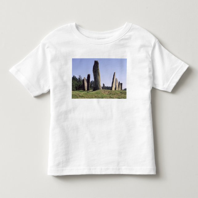Ship setting toddler T-Shirt (Front)