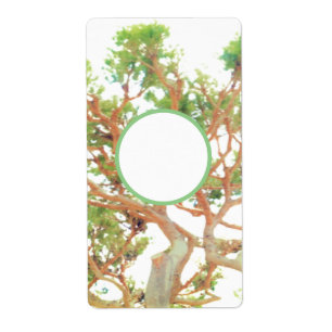 shipping Address Label