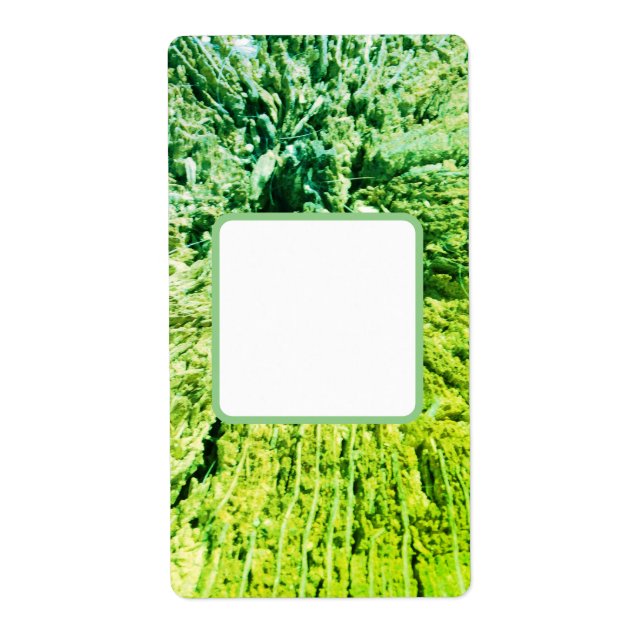 SHIPPING ADDRESS LABELS ART&DESIGN  (Front)