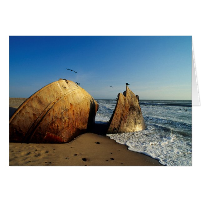 Shipwreck On Beach, Skeleton Coast, Namibia (Front Horizontal)