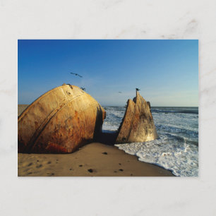 Shipwreck On Beach, Skeleton Coast, Namibia Postcard