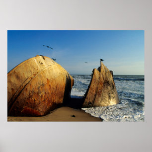 Shipwreck On Beach, Skeleton Coast, Namibia Poster