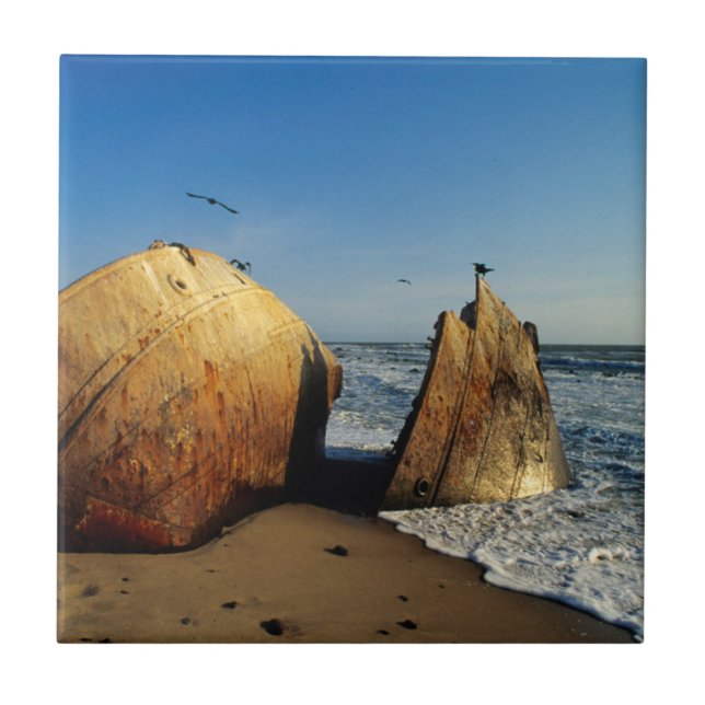 Shipwreck On Beach, Skeleton Coast, Namibia Tile (Front)