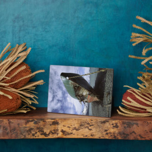 Shipwreck On Shore Plaque