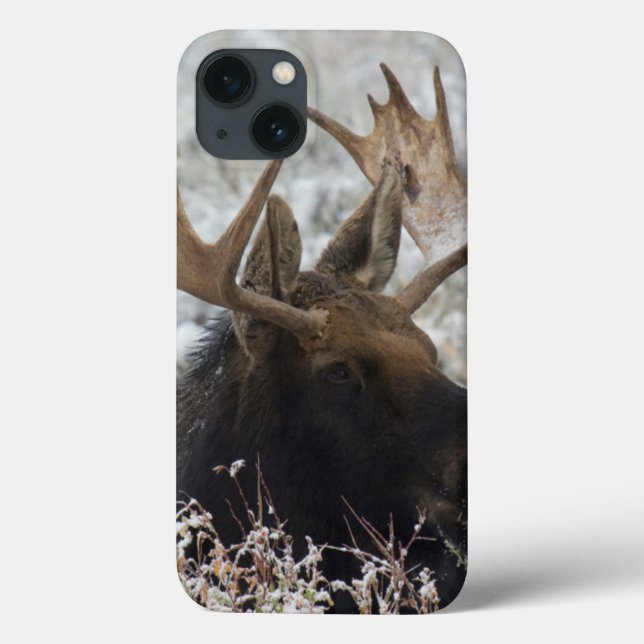 Shiras Bull Moose Case-Mate iPhone Case (Back)