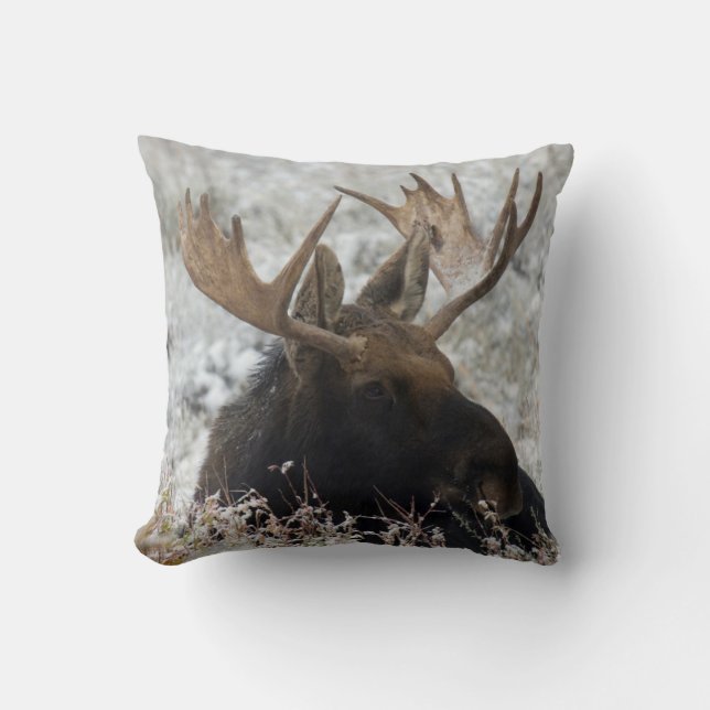 Shiras Bull Moose Cushion (Front)