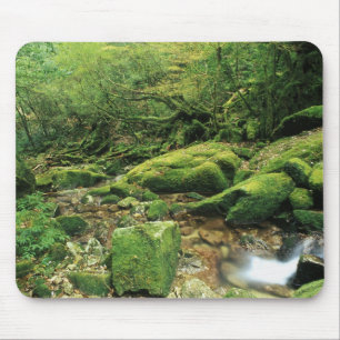 Shiratani Unsuikyo, Yakushima, Kagoshima, Japan Mouse Pad