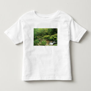 Shiratani Unsuikyo, Yakushima, Kagoshima, Japan Toddler T-Shirt