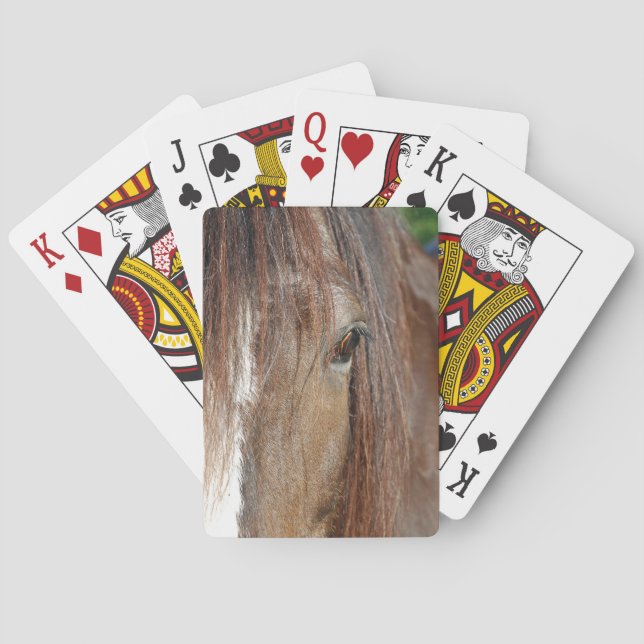 shire playing cards (Back)