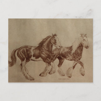 Shires Freedom Postcard