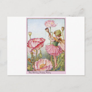 Shirley Poppy Fairy Postcard