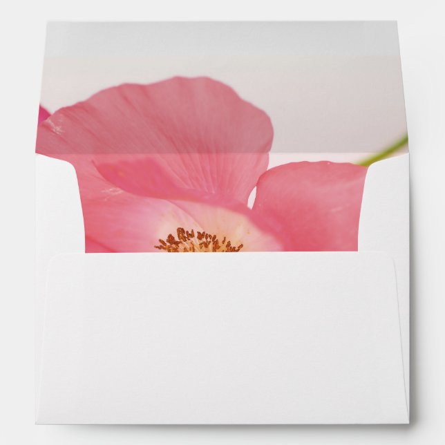 Shirley poppy up close envelope (Back (Bottom))