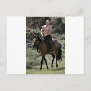 Shirtless Putin Rides a Horse Postcard