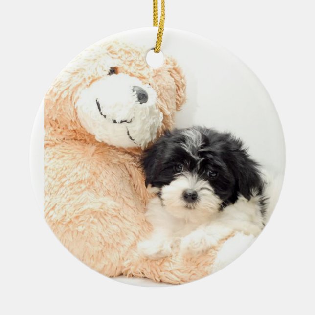 SHITZU AND TEDDY BEAR ORNAMENT (Front)