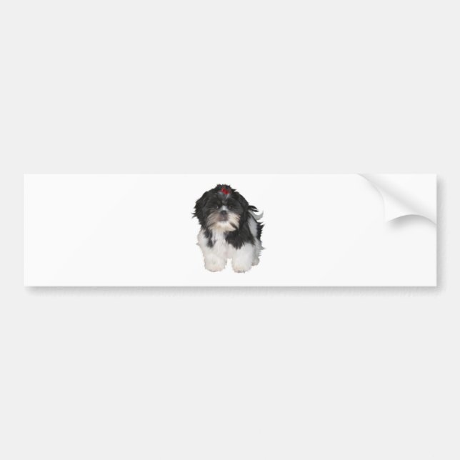 Shitzu Shih Tzu Puppy Dogs Bumper Sticker (Front)