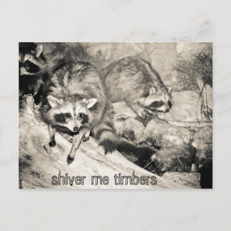 shiver me timbers postcard