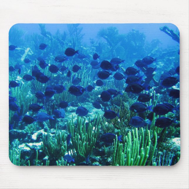 Shoal of Blue Discus Fish Mouse Pad (Front)