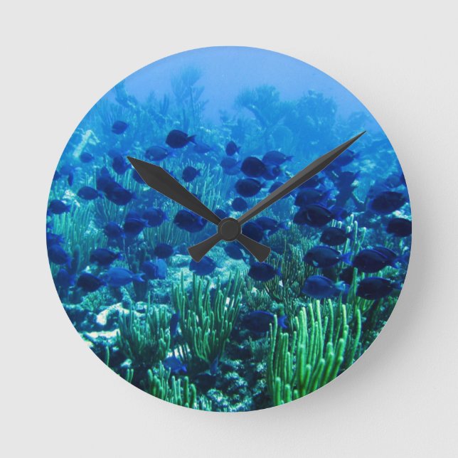 Shoal of Blue Discus Fish Round Clock (Front)