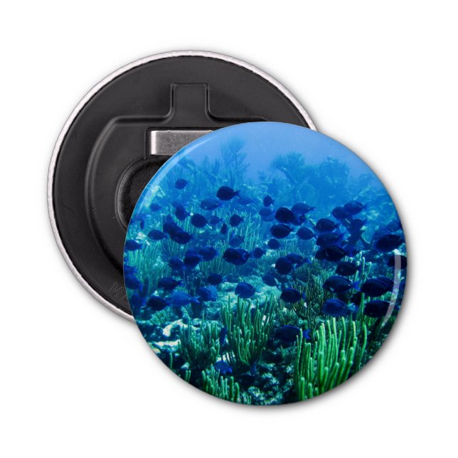 Shoal of Blue Discus Fish Underwater Photo Bottle Opener (Front)