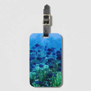Shoal of Blue Discus Fish Underwater Photo Luggage Tag