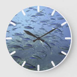 Shoal of Fish. Diving Underwater. Large Clock