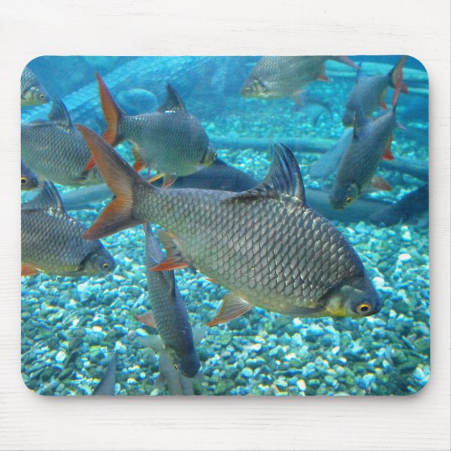 Shoal of fish mouse pad (Front)