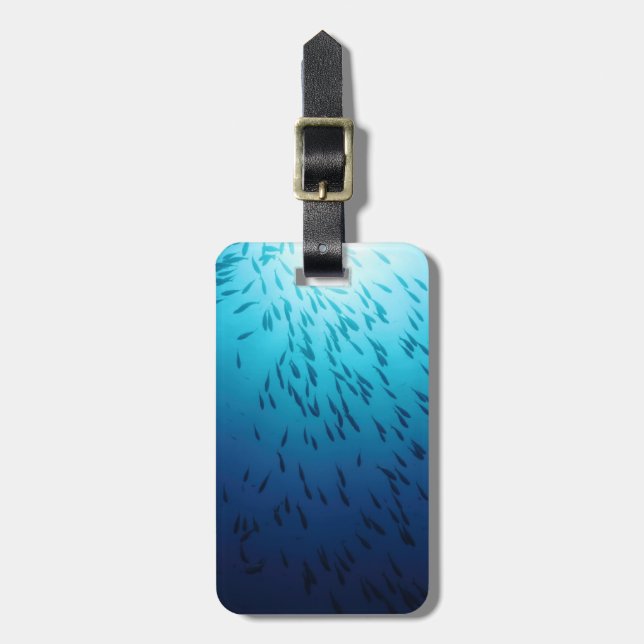 Shoal of fishes luggage tag (Front Vertical)