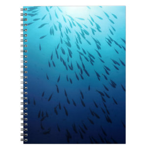 Shoal of fishes notebook