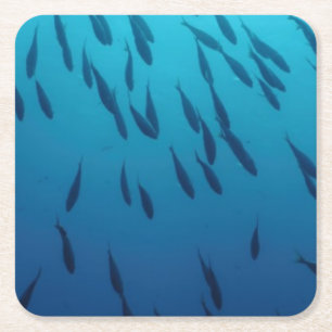 Shoal of fishes square paper coaster