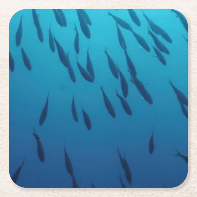 Shoal of fishes square paper coaster (Front)